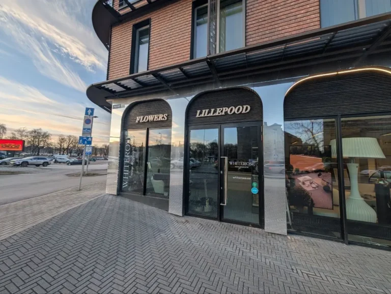 20260318165607 1 768x578