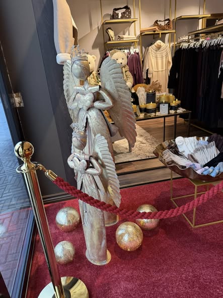 587006668 1389971872924152 7735116656639424611 n